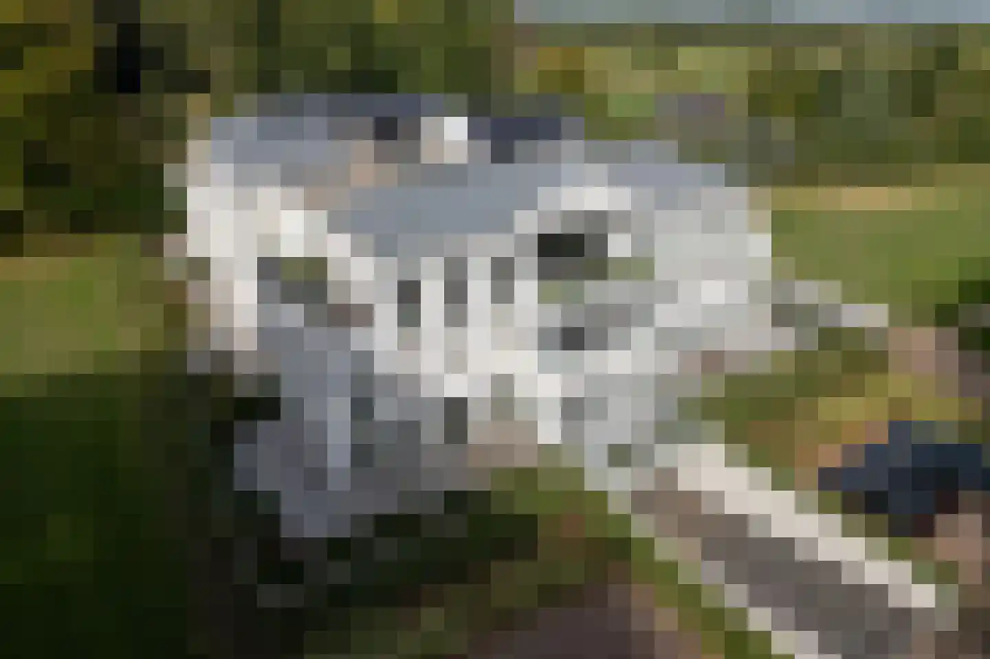Molenweg 2 K Epe thumbnail 39