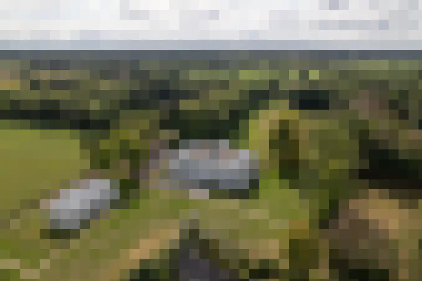 Molenweg 2 K Epe thumbnail 39