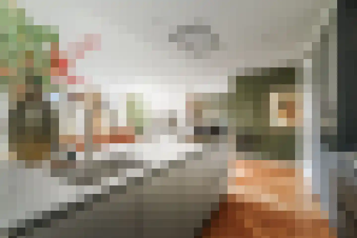 Molenweg 2 K Epe thumbnail 4