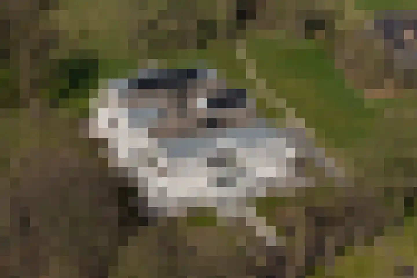 Molenweg 2 K Epe thumbnail 40