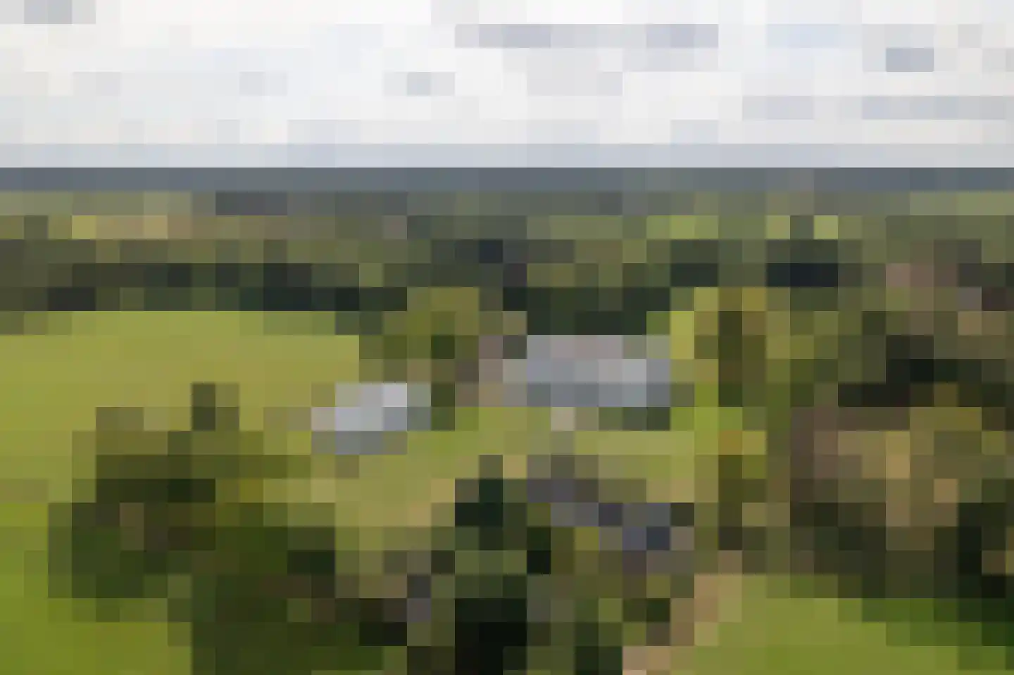 Molenweg 2 K Epe thumbnail 40