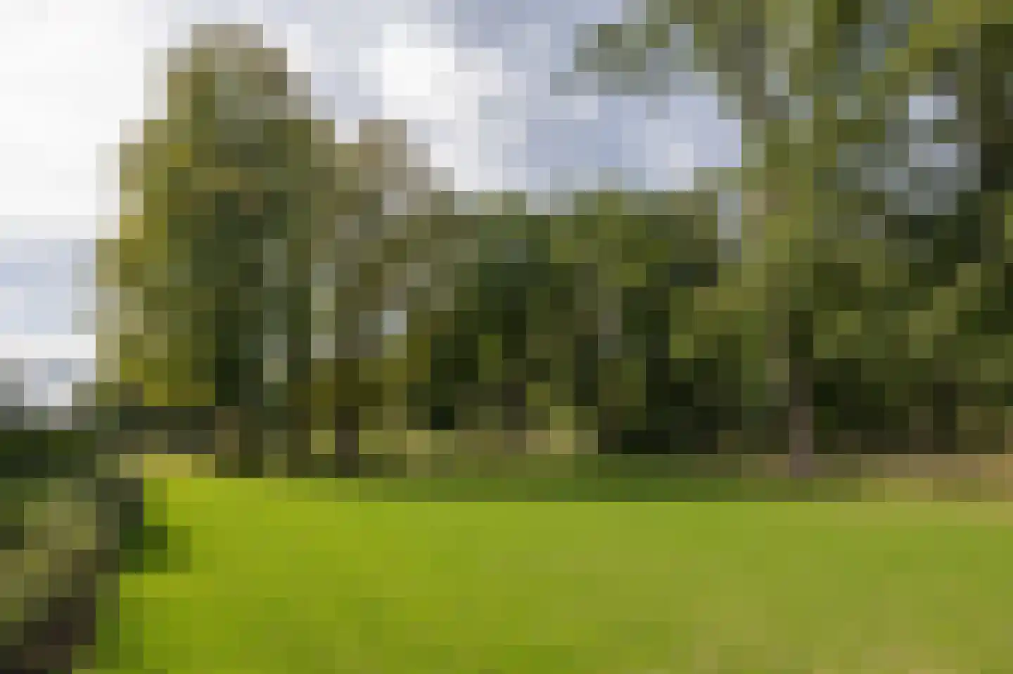 Molenweg 2 K Epe thumbnail 41