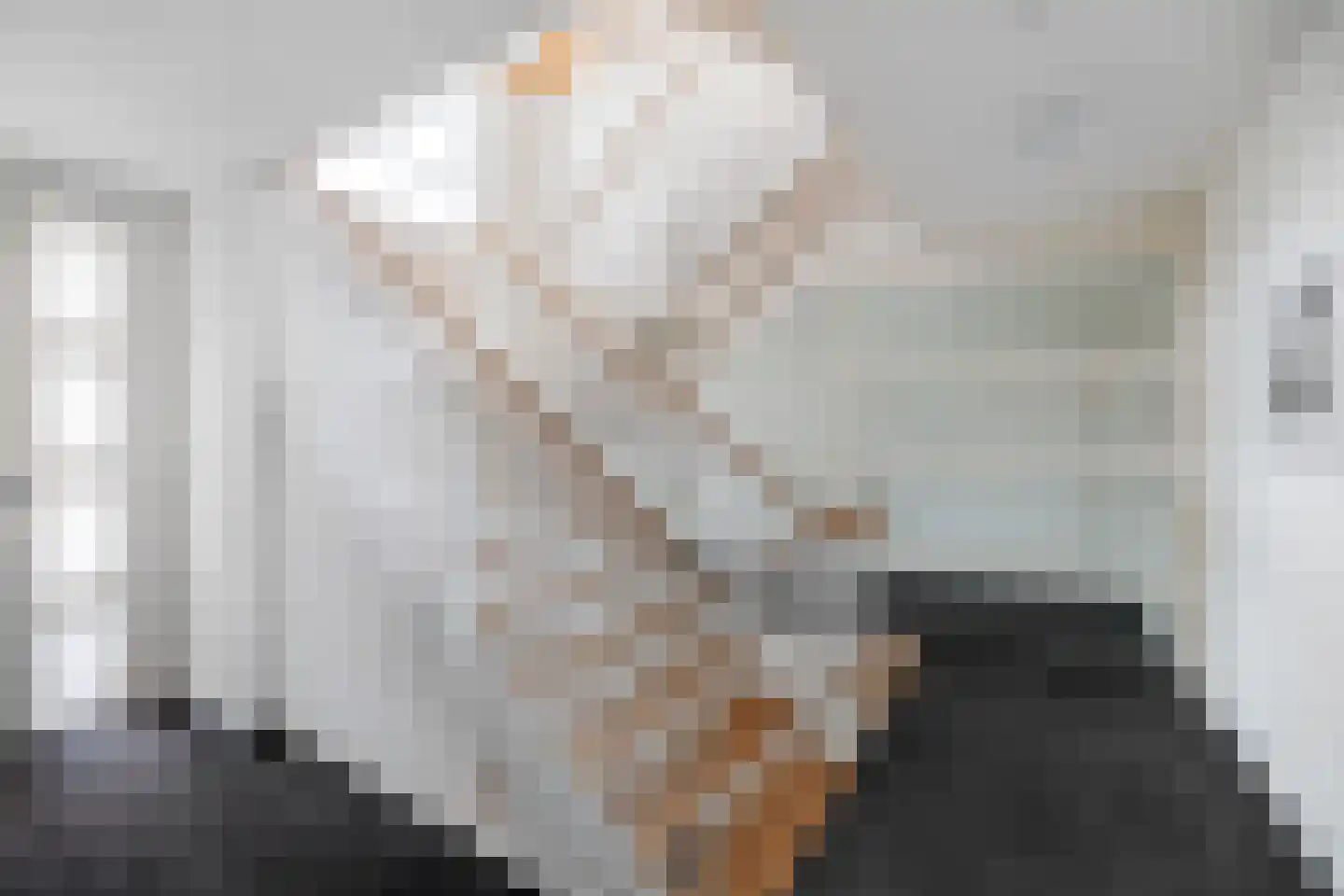 Molenweg 2 K Epe thumbnail 43
