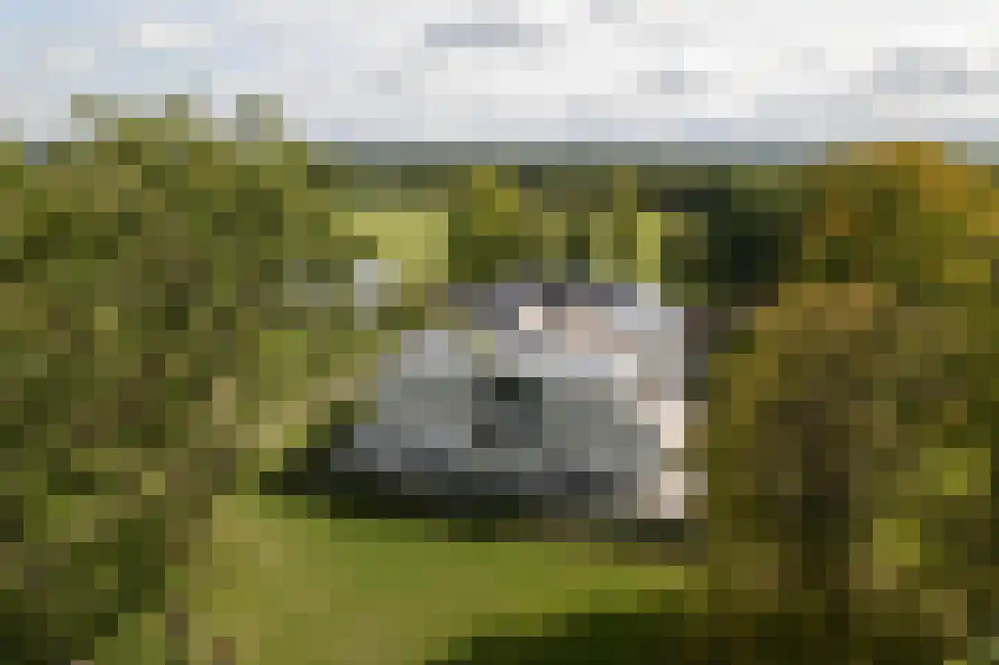 Molenweg 2 K Epe thumbnail 43