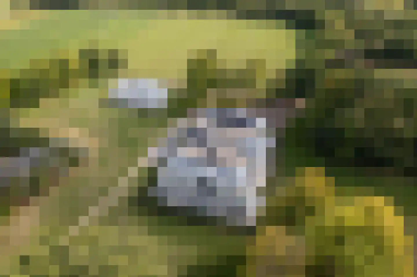 Molenweg 2 K Epe thumbnail 44