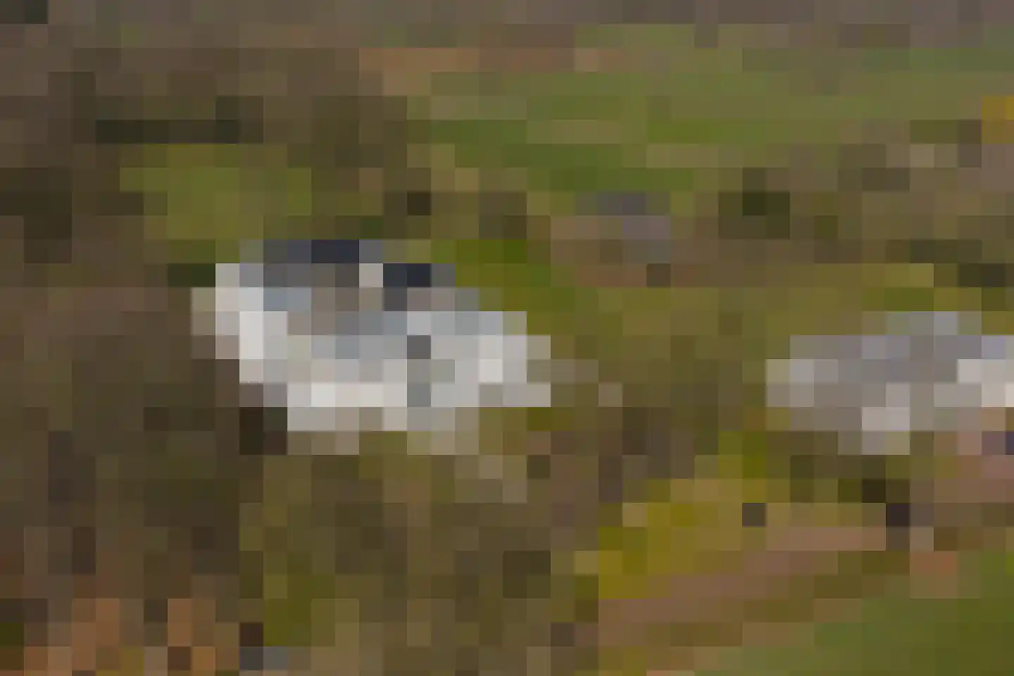 Molenweg 2 K Epe thumbnail 45