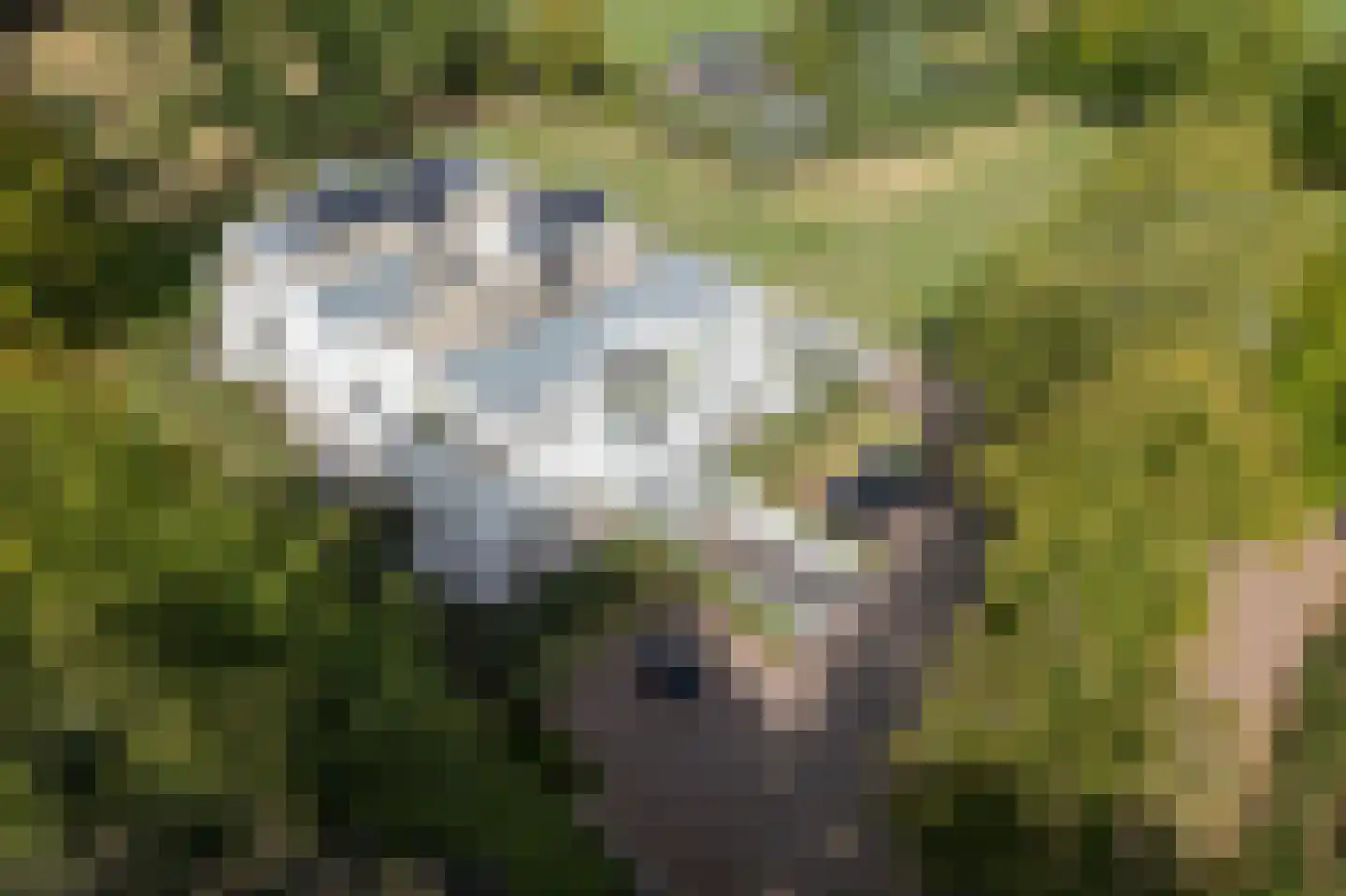 Molenweg 2 K Epe thumbnail 47
