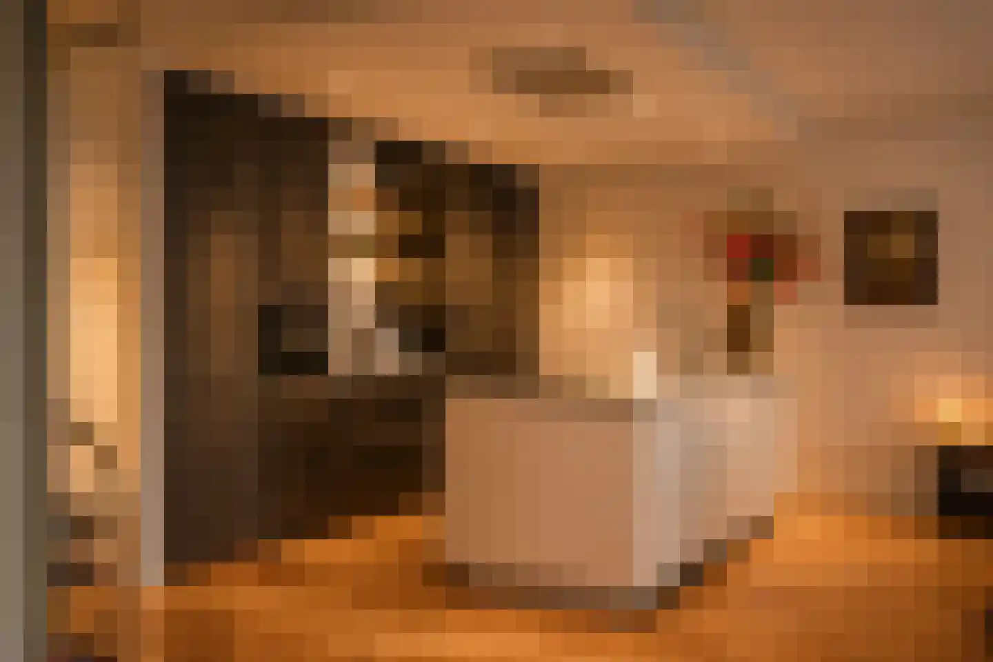 Molenweg 2 K Epe thumbnail 5