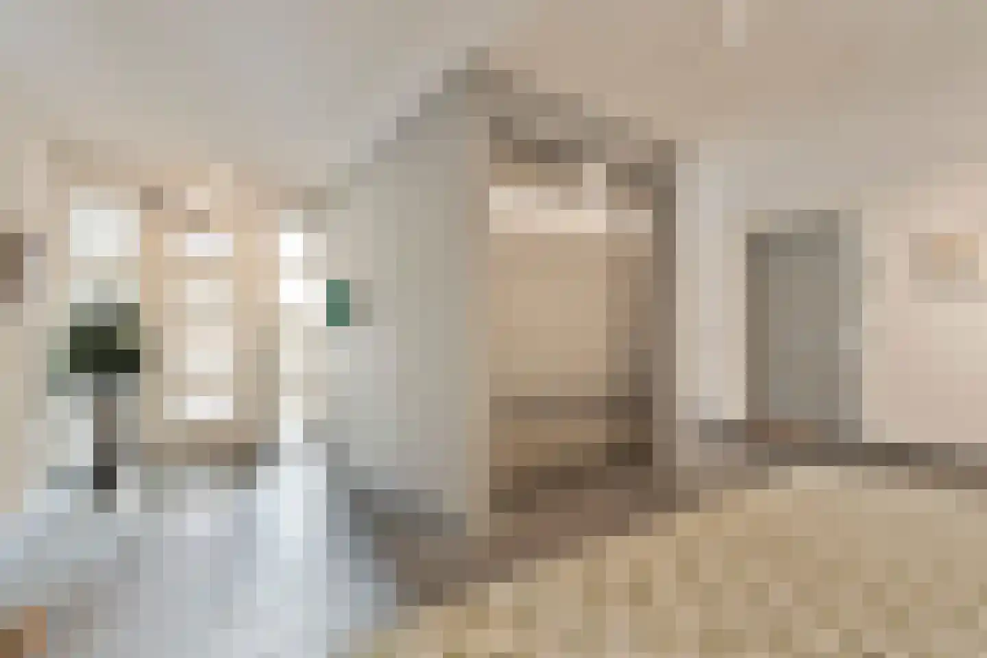 Molenweg 2 M Epe thumbnail 12