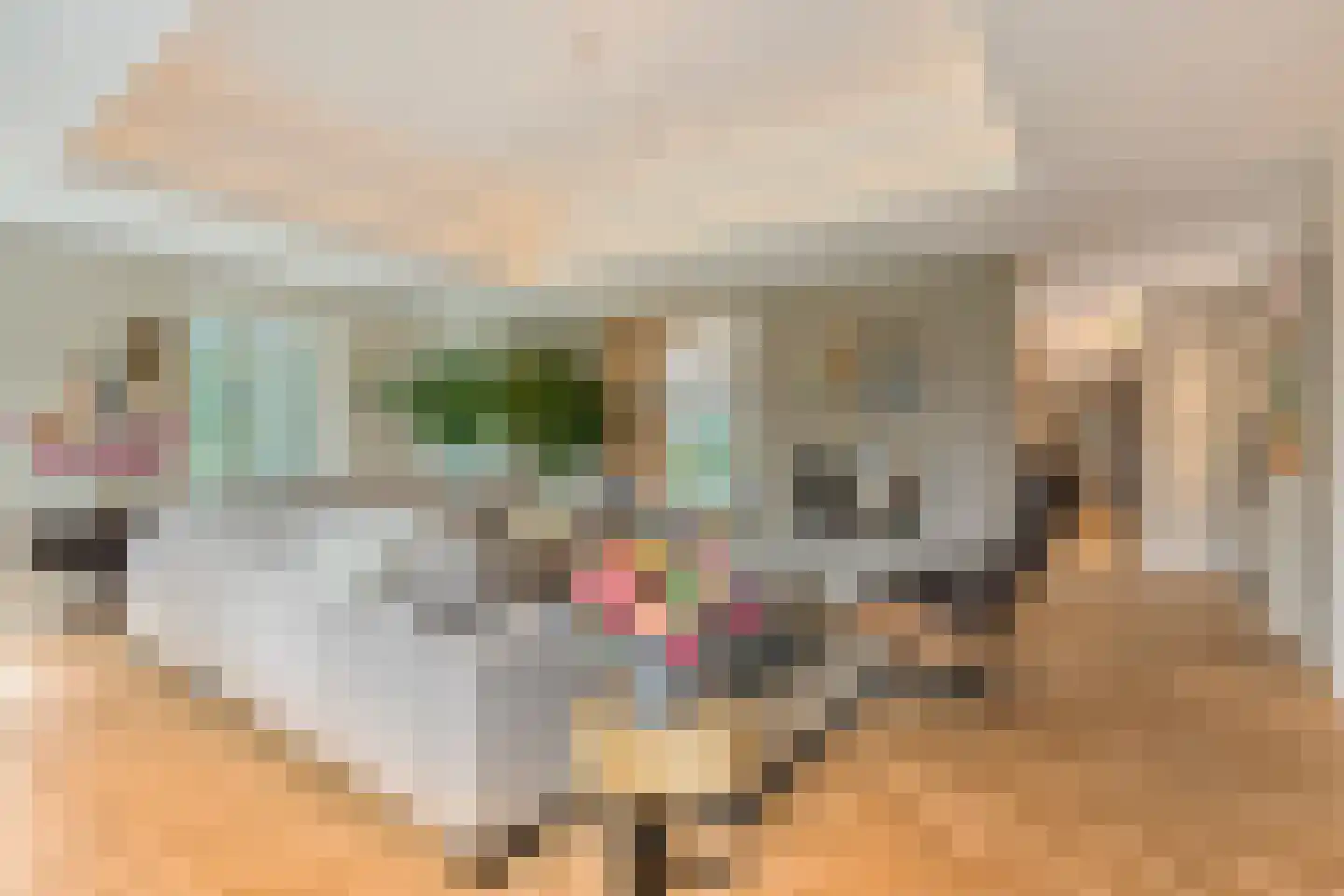 Molenweg 2 M Epe thumbnail 26