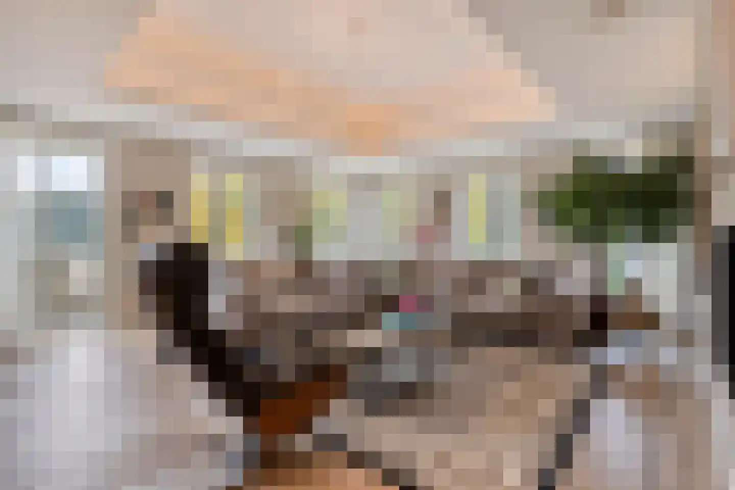 Molenweg 2 M Epe thumbnail 27