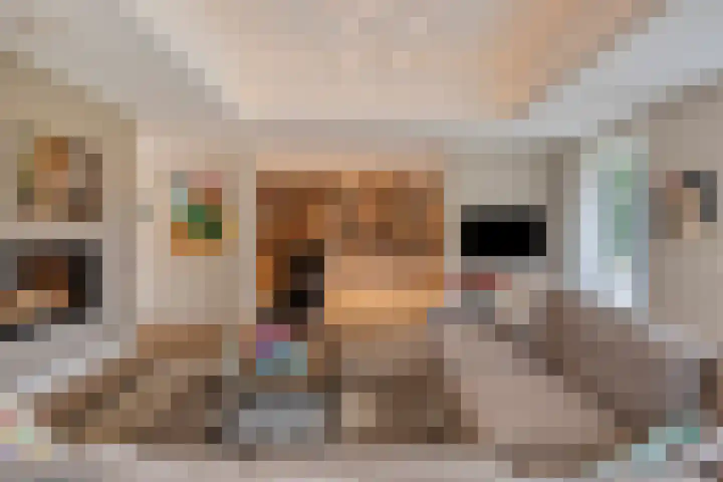 Molenweg 2 M Epe thumbnail 28