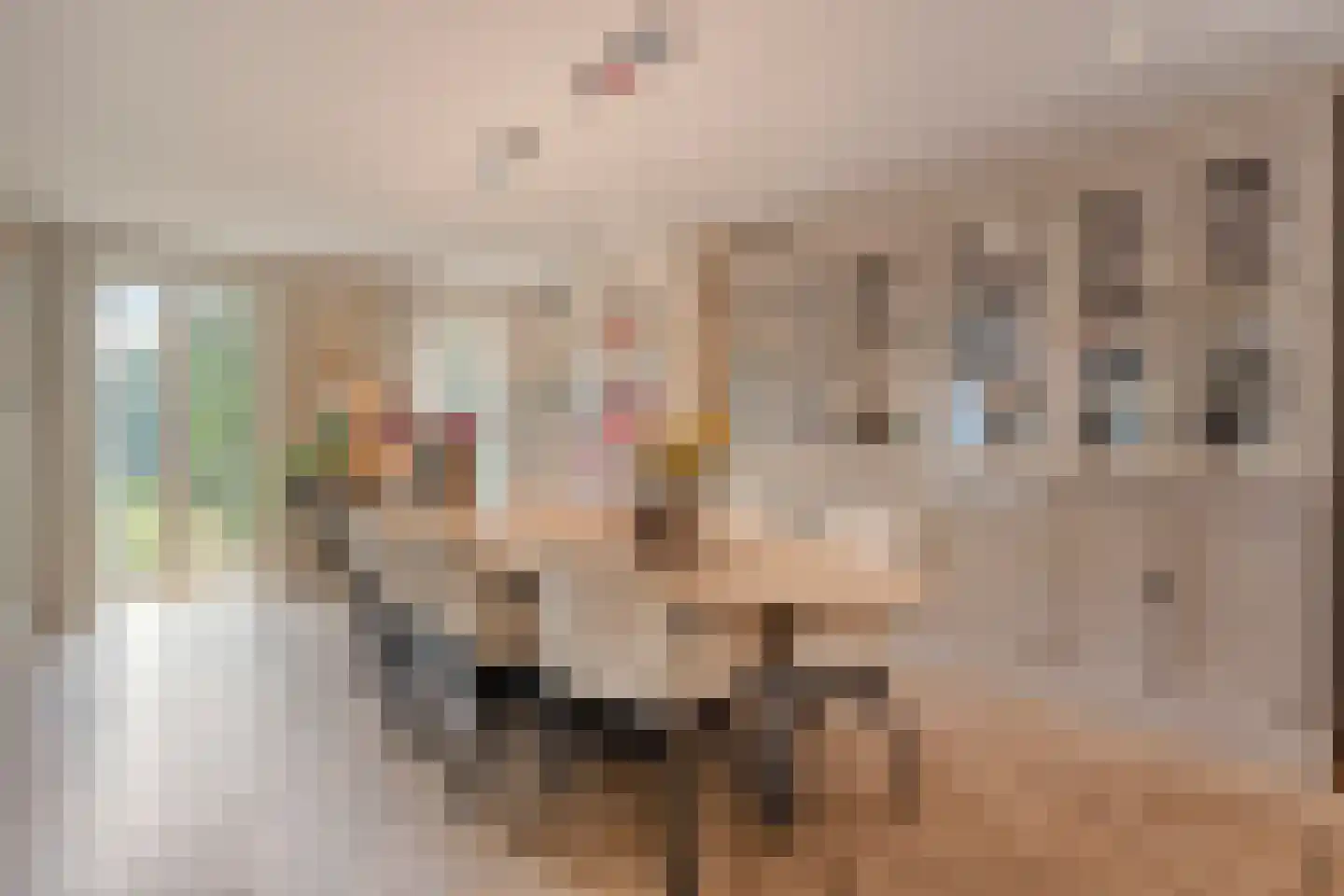 Molenweg 2 M Epe thumbnail 40