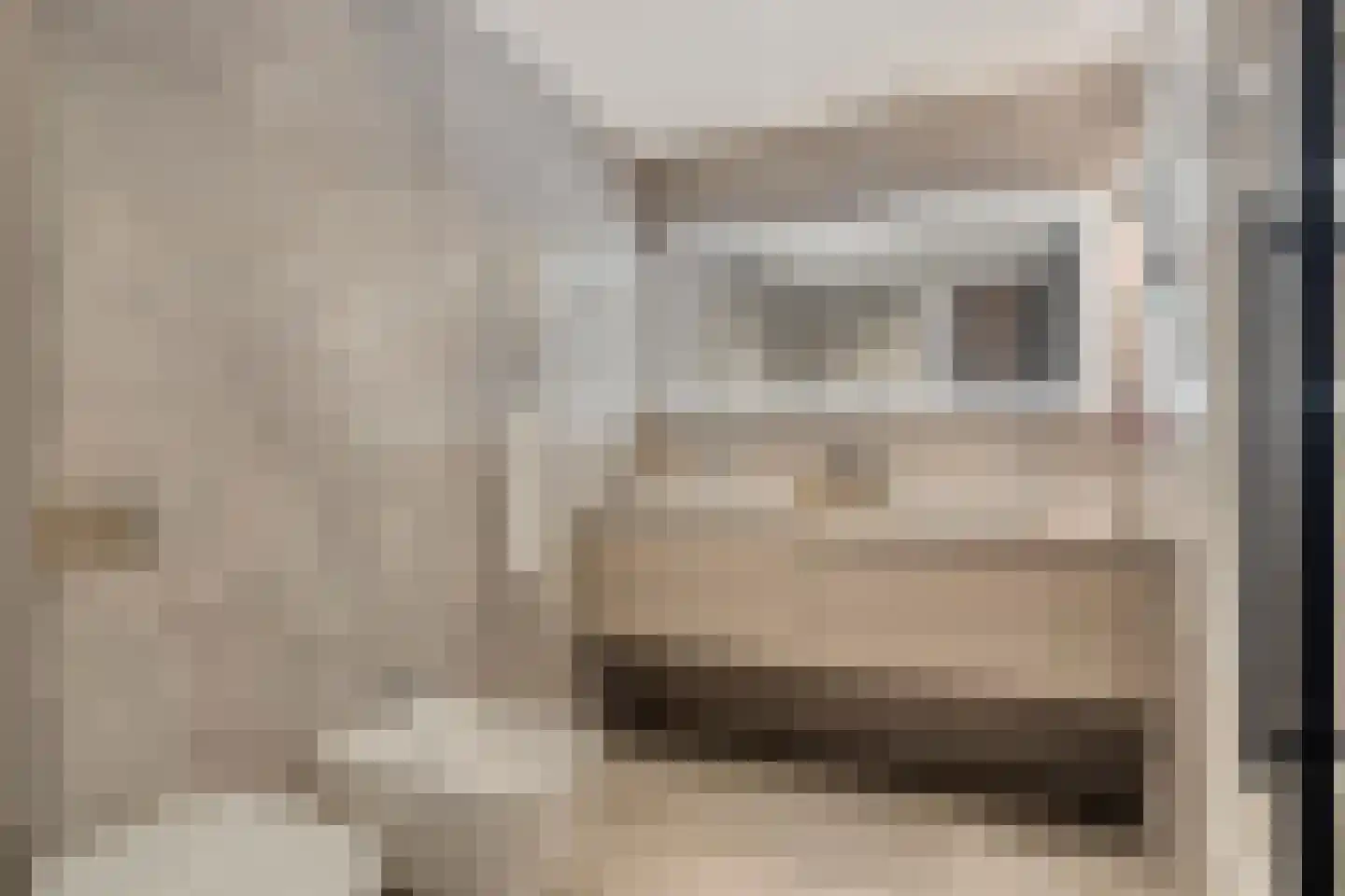 Molenweg 2 M Epe thumbnail 52