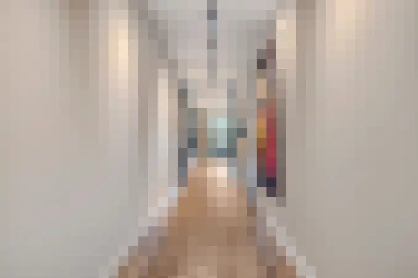 Molenweg 2 M Epe thumbnail 56