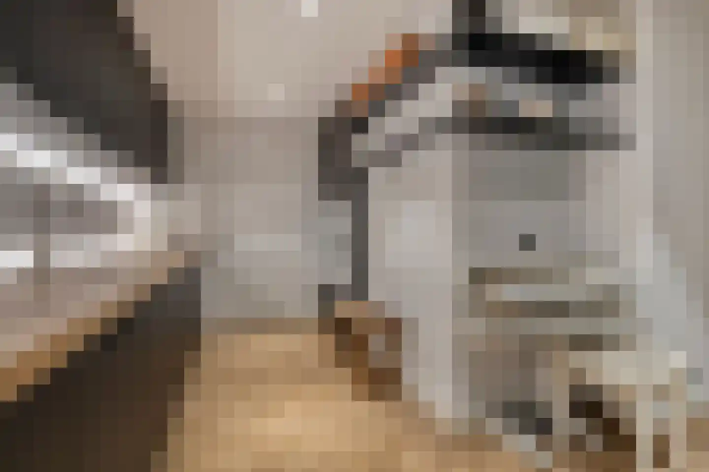 Molenweg 2 M Epe thumbnail 67