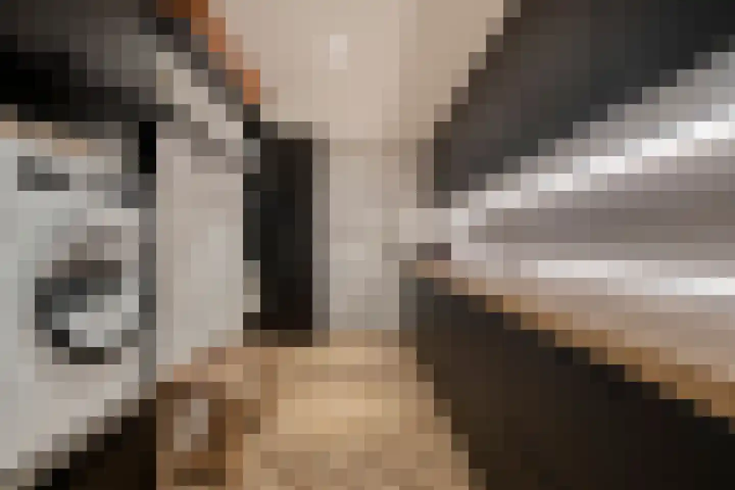 Molenweg 2 M Epe thumbnail 68