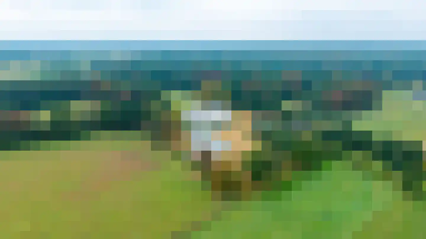 Molenweg 2 M Epe thumbnail 69