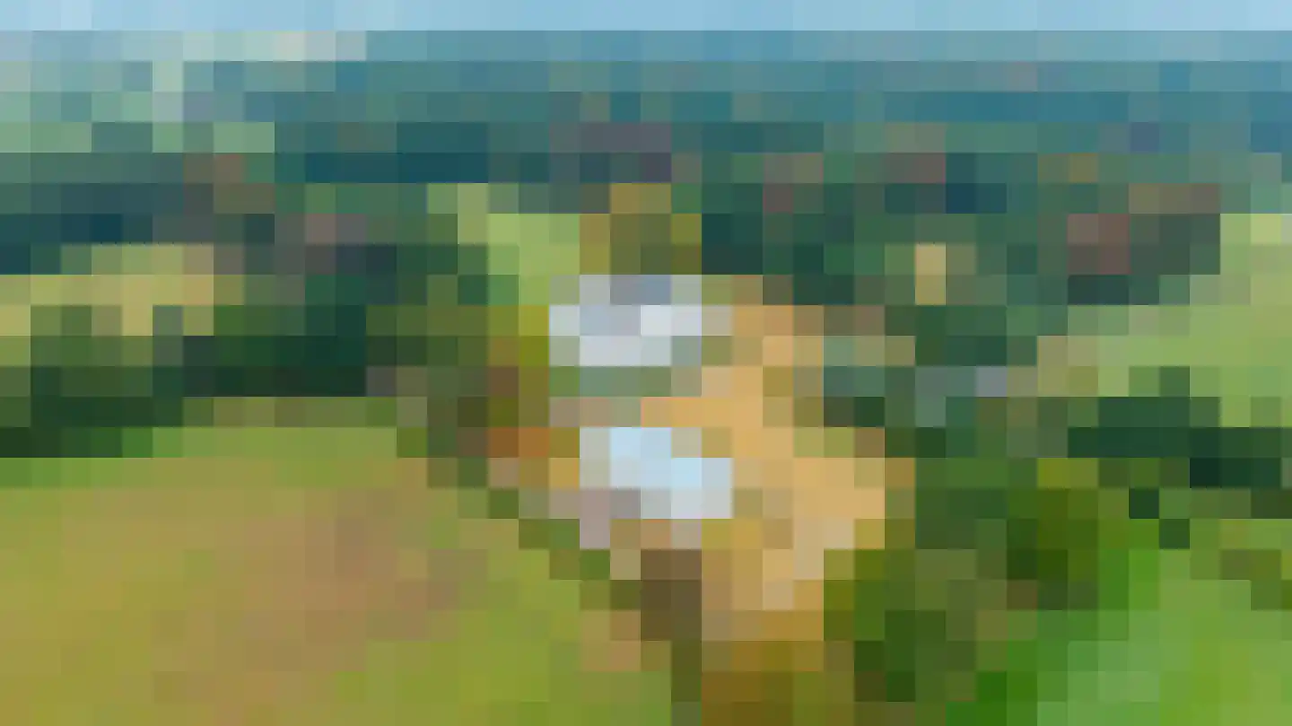 Molenweg 2 M Epe thumbnail 9