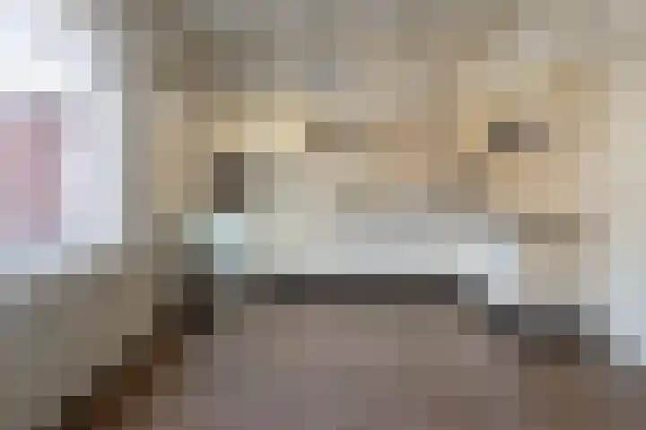 Molenweg 2 Nijverdal thumbnail 4