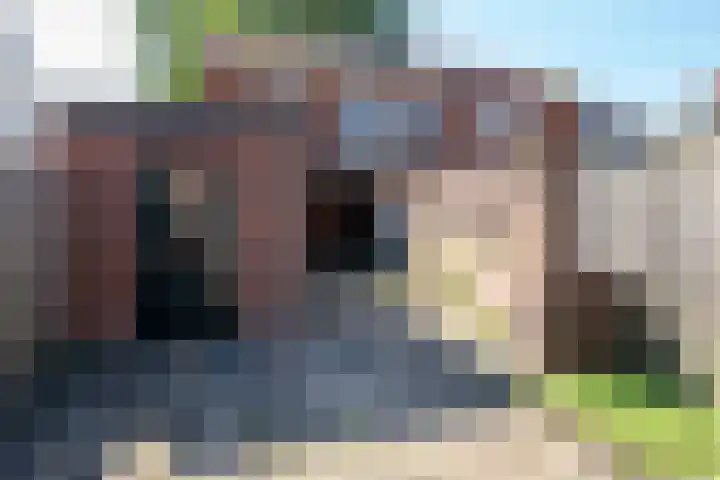 Molenweg 2 Nijverdal thumbnail 42