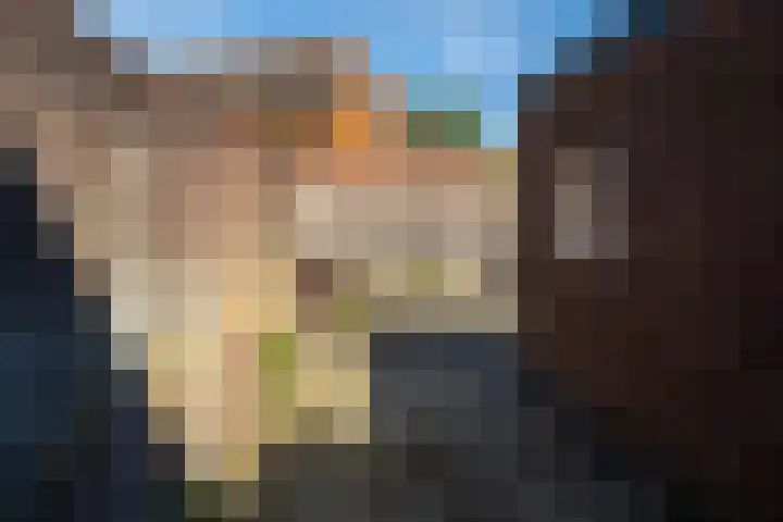 Molenweg 2 Nijverdal thumbnail 43