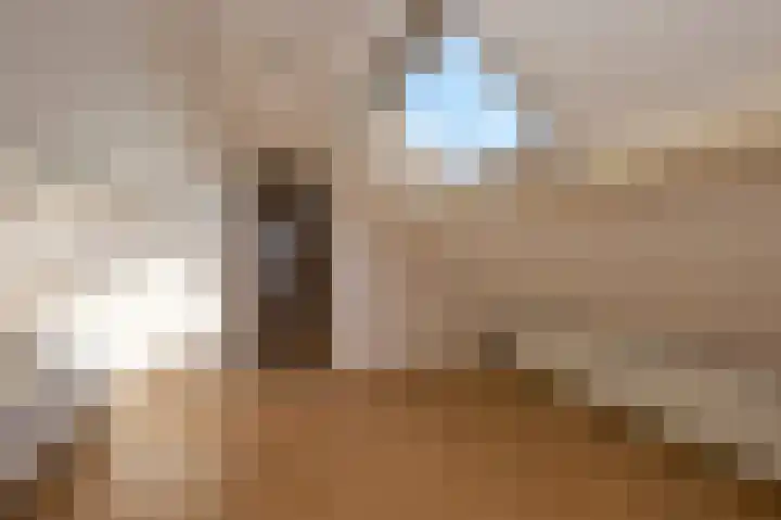 Molenweg 2 Walsoorden thumbnail 12