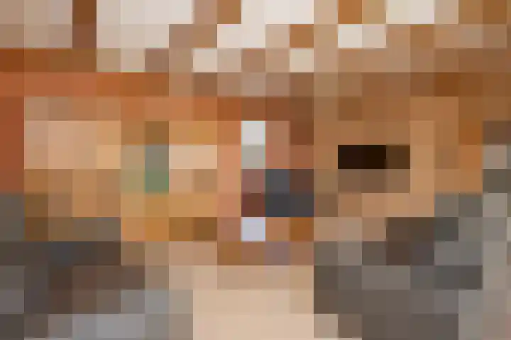 Molenweg 2 Walsoorden thumbnail 5