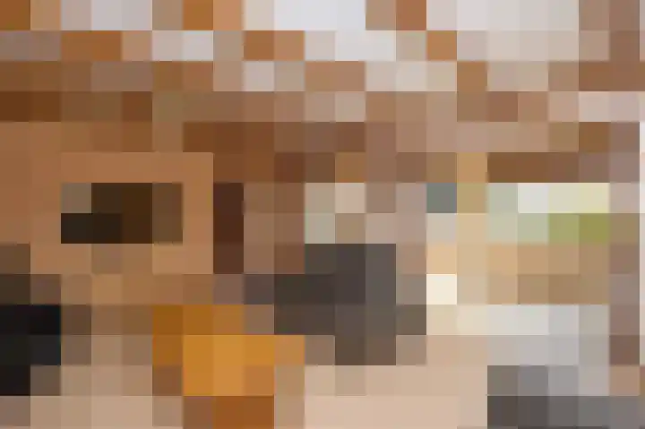 Molenweg 2 Walsoorden thumbnail 6