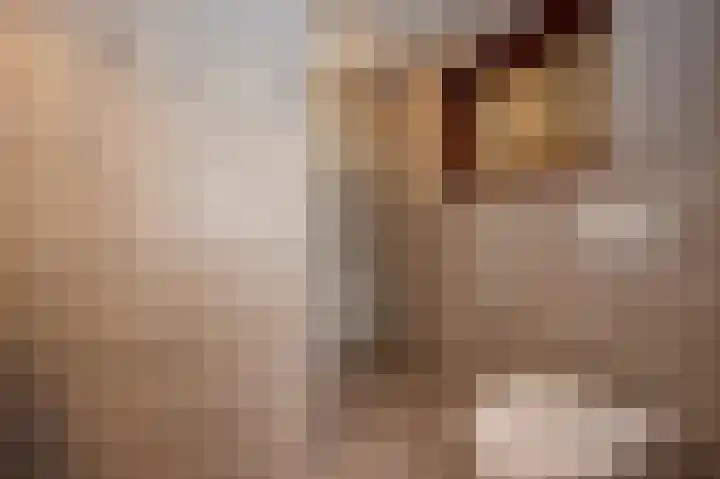 Molenweg 2 Walsoorden thumbnail 9