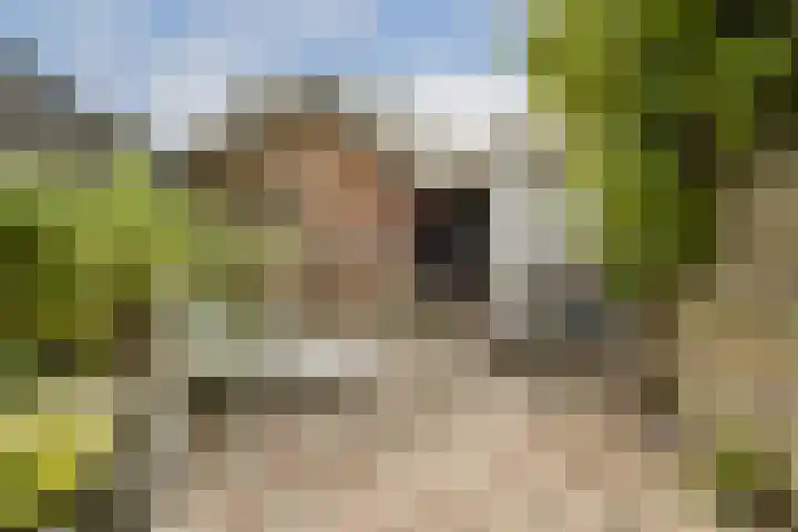 Molenweg 2 Wassenaar thumbnail 11
