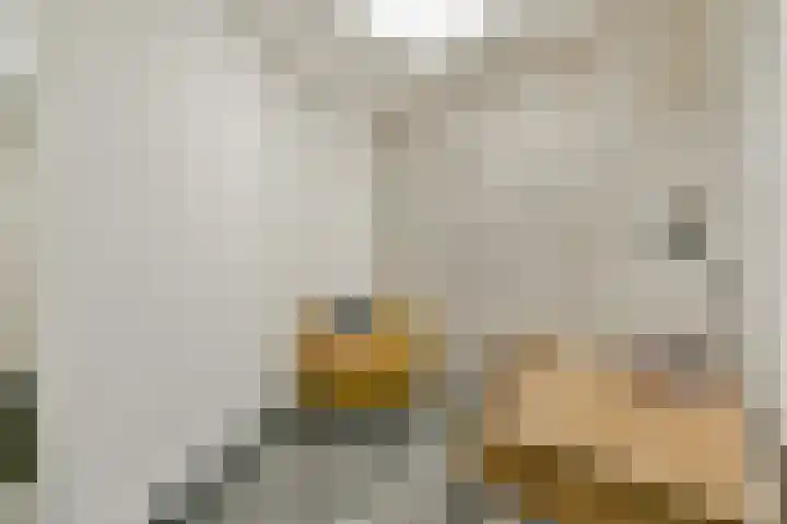 Molenweg 2 Wassenaar thumbnail 18