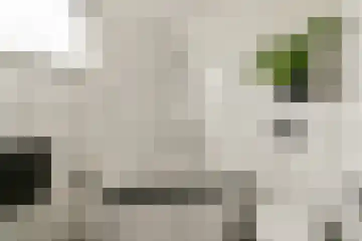 Molenweg 2 Wassenaar thumbnail 20