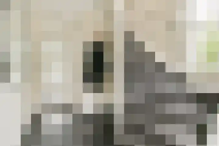 Molenweg 2 Wassenaar thumbnail 5