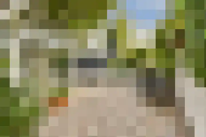 Molenweg 2 Wassenaar thumbnail 9