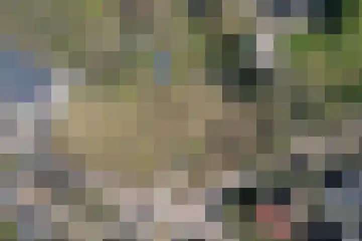 Molenweg 20 Heelweg thumbnail 4