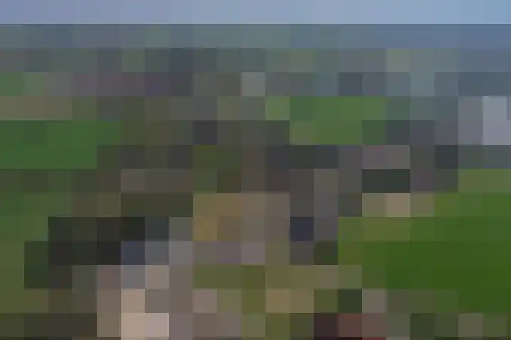 Molenweg 20 Heelweg thumbnail 8