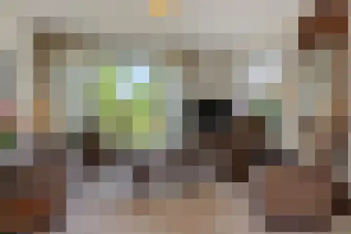 Molenweg 20 Lithoijen thumbnail 10
