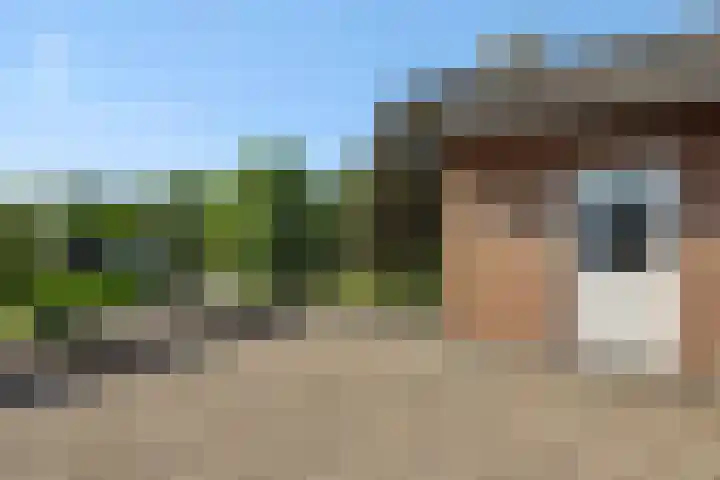 Molenweg 20 Lithoijen thumbnail 28