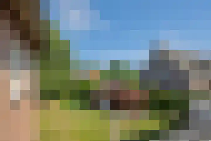 Molenweg 20 Lithoijen thumbnail 30