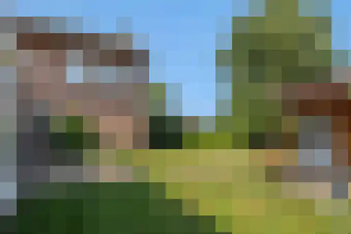 Molenweg 20 Lithoijen thumbnail 34