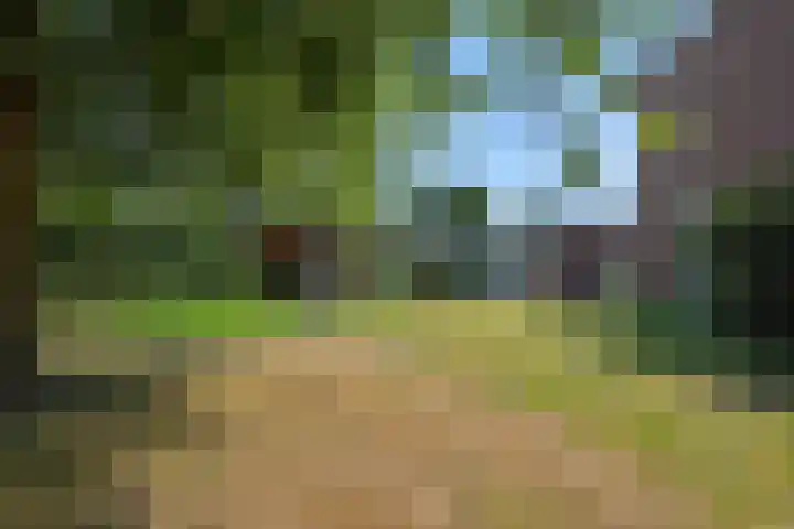 Molenweg 20 Lithoijen thumbnail 35