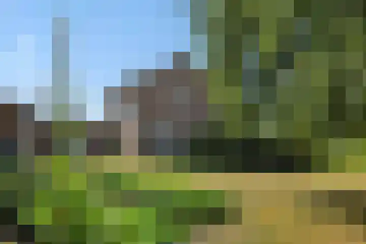 Molenweg 20 Lithoijen thumbnail 36