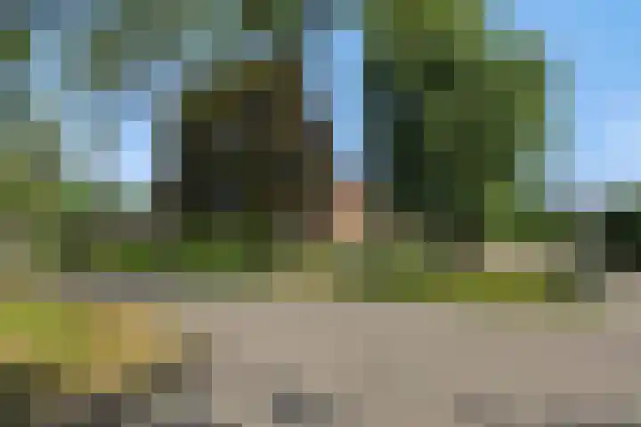 Molenweg 20 Lithoijen thumbnail 41