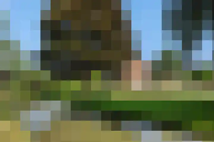 Molenweg 20 Lithoijen thumbnail 42