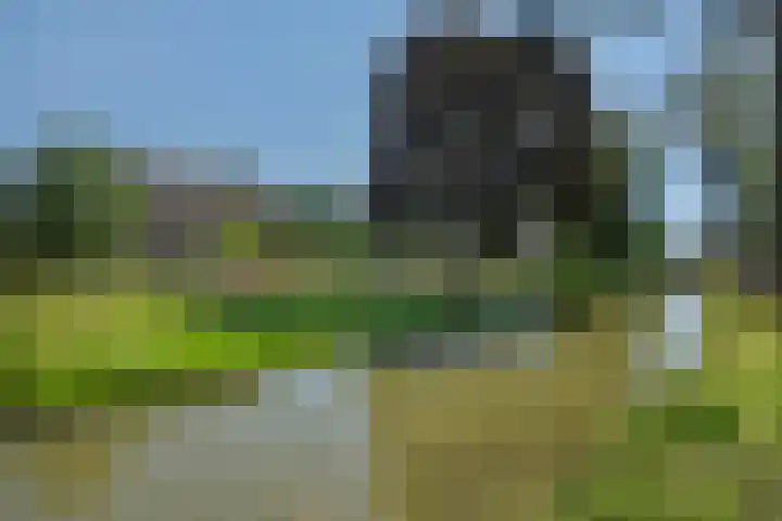 Molenweg 20 Lithoijen thumbnail 44