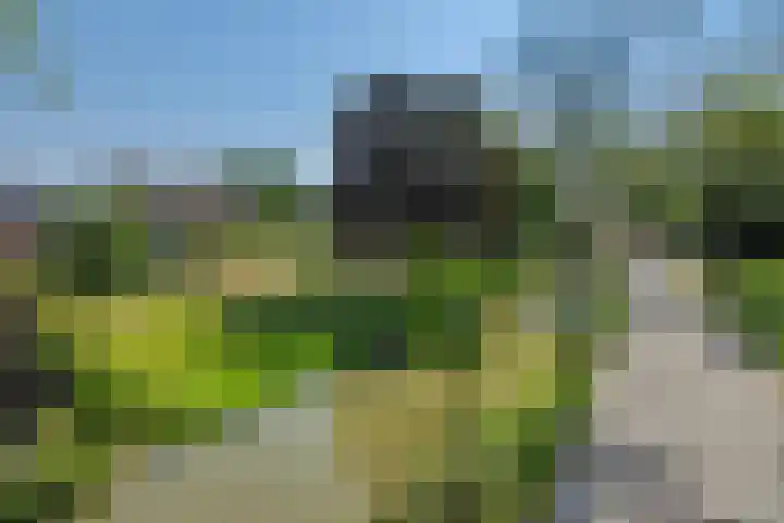 Molenweg 20 Lithoijen thumbnail 45