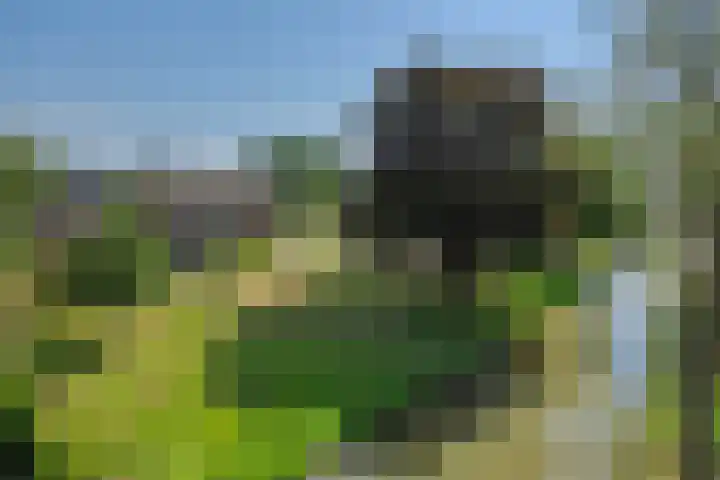 Molenweg 20 Lithoijen thumbnail 46