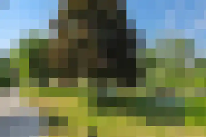 Molenweg 20 Lithoijen thumbnail 50