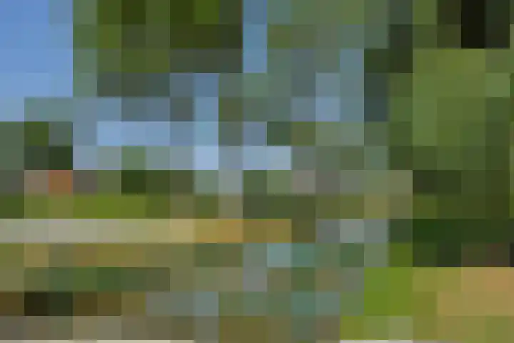 Molenweg 20 Lithoijen thumbnail 52